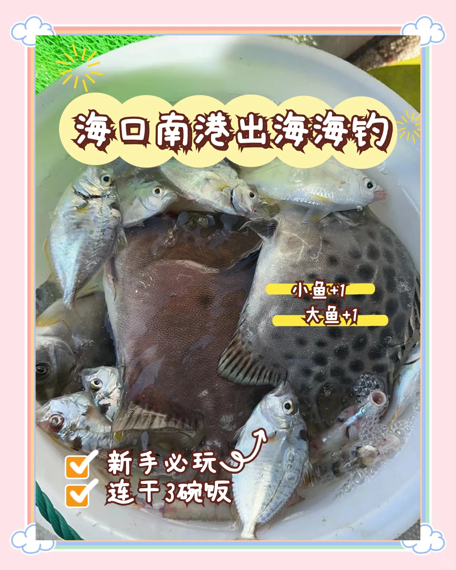 海南儋州可以海钓吗(海南儋州可以海钓吗最近)