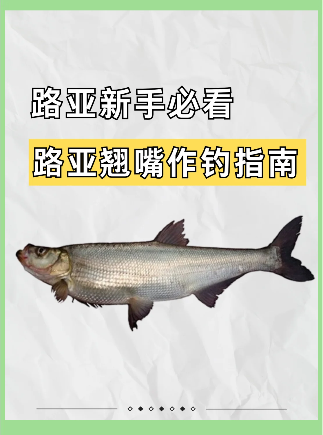 钓翘嘴路亚(钓翘嘴路亚线组搭配)