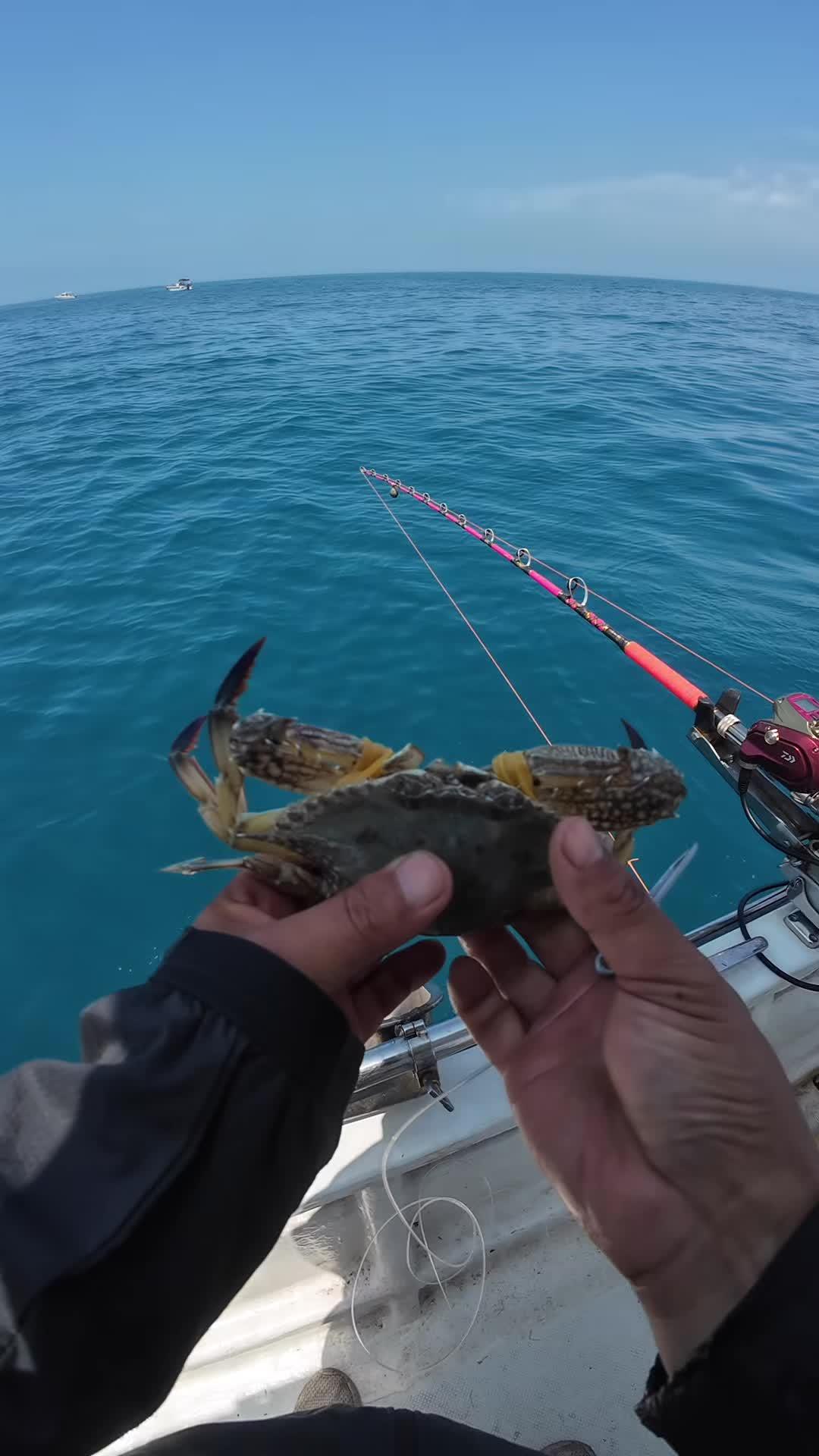 龙口海钓上哪钓(龙口出海钓鱼价钱)