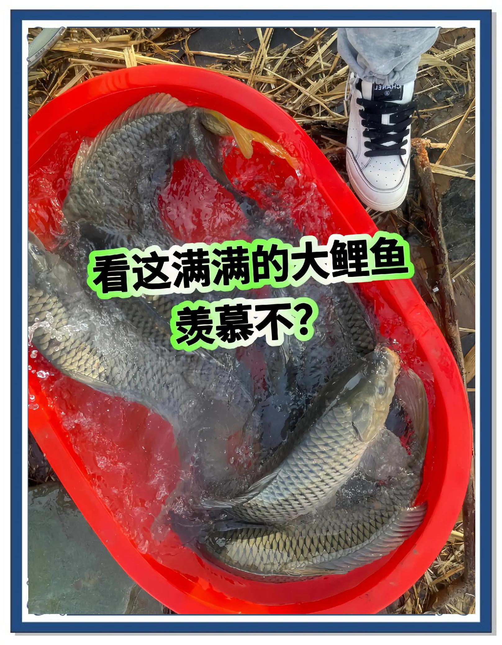 饵料底下情况(饵料在水底什么状态最好)