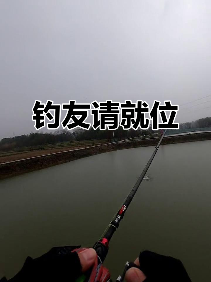 春季雨天钓鱼的技巧(春季雨天钓鱼钓深还是钓浅)