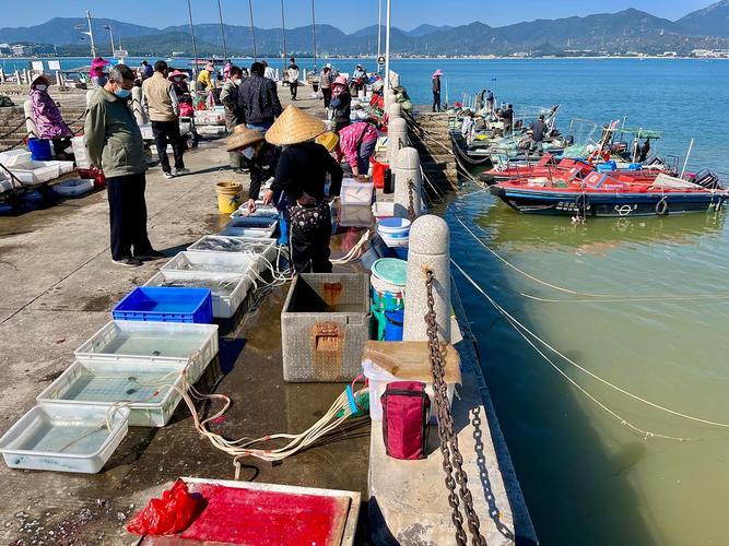 龙口海钓场(龙口海边钓鱼)