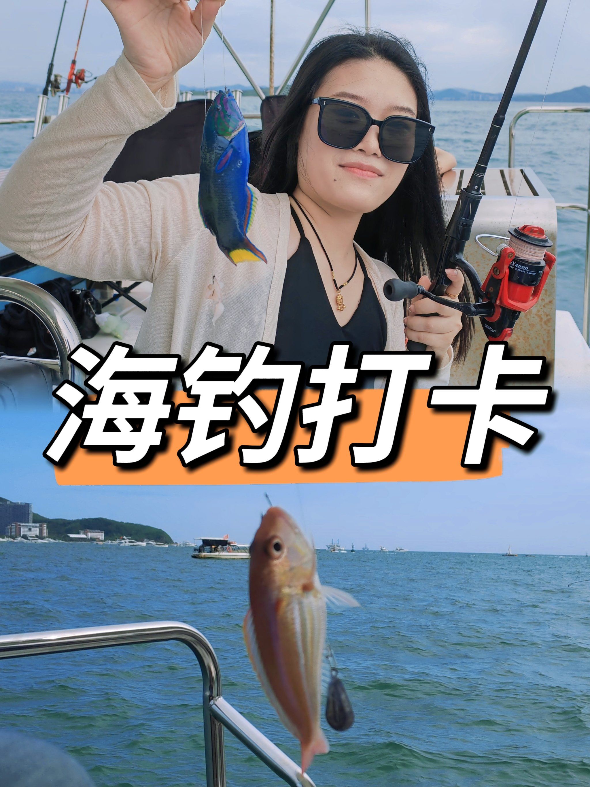 南油海钓报名(南油海钓渔获怎么处理)