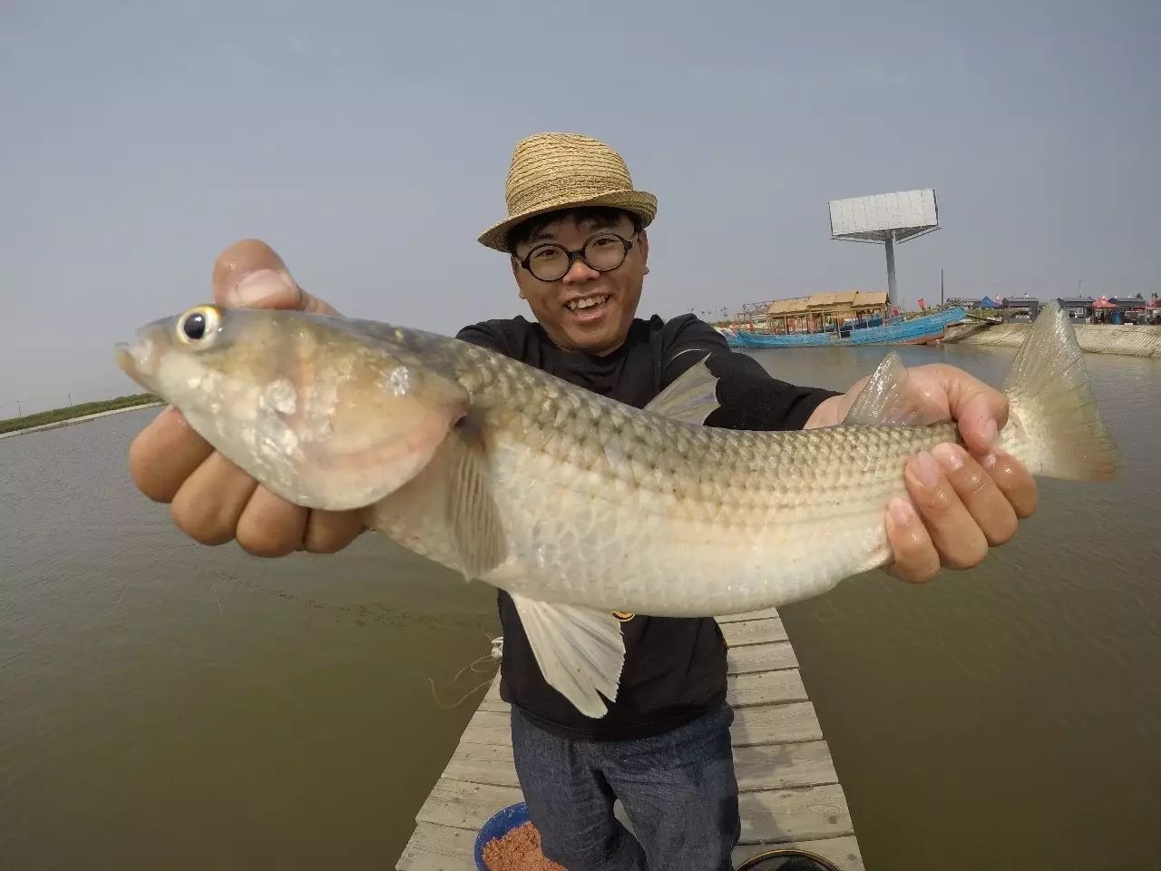 海钓梭鱼视频(海钓梭鱼用什么饵最好呢)
