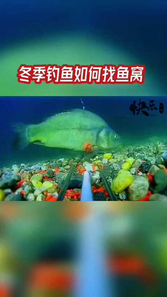 春季找鱼窝技巧(如何找鱼窝鱼道钓点图解)