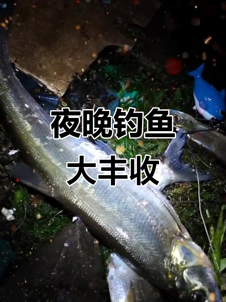 海竿夜钓翘嘴技巧(海竿夜钓钓什么鱼好)
