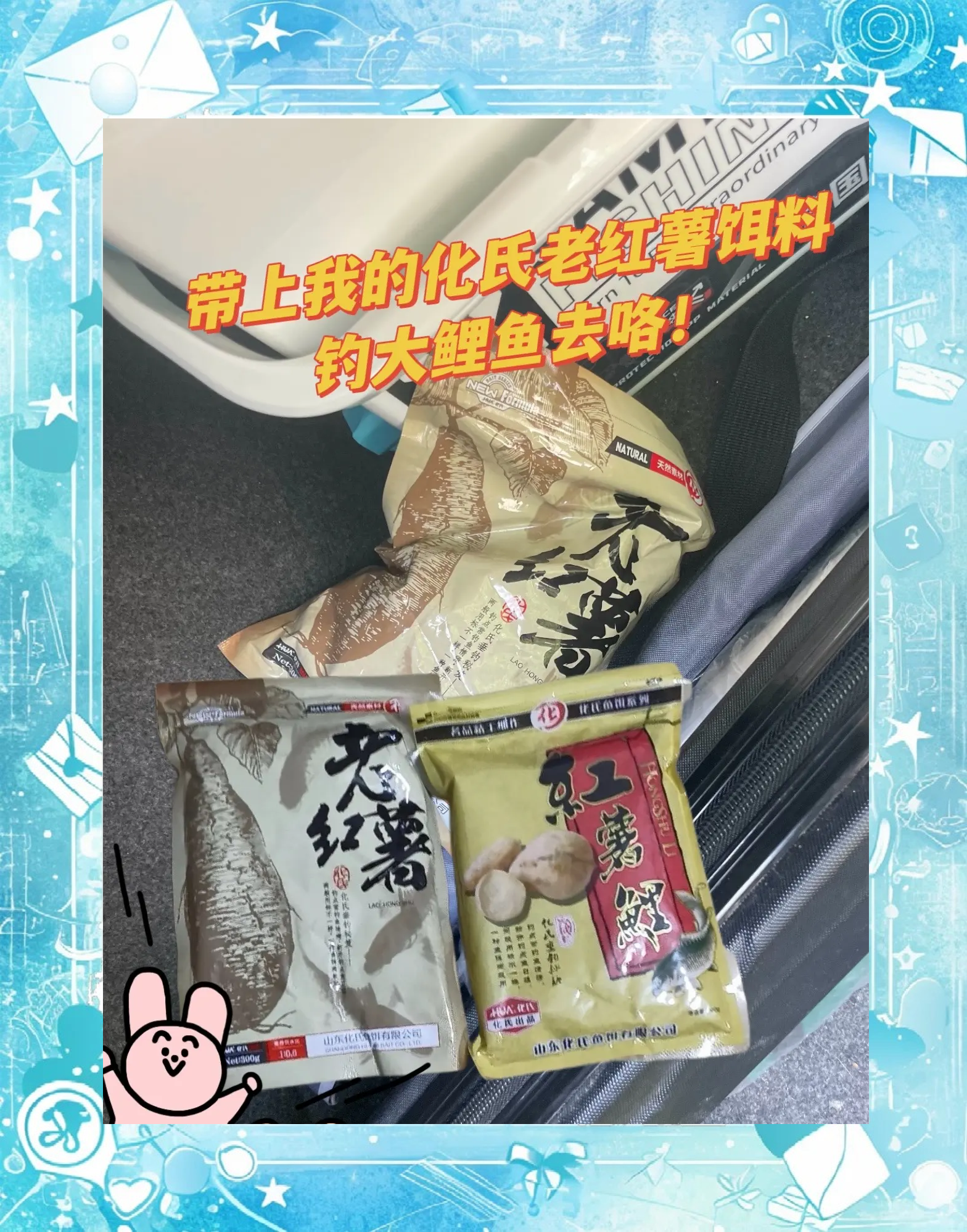 秋天野生鲤鱼饵料(秋天鲤鱼饵料配方)