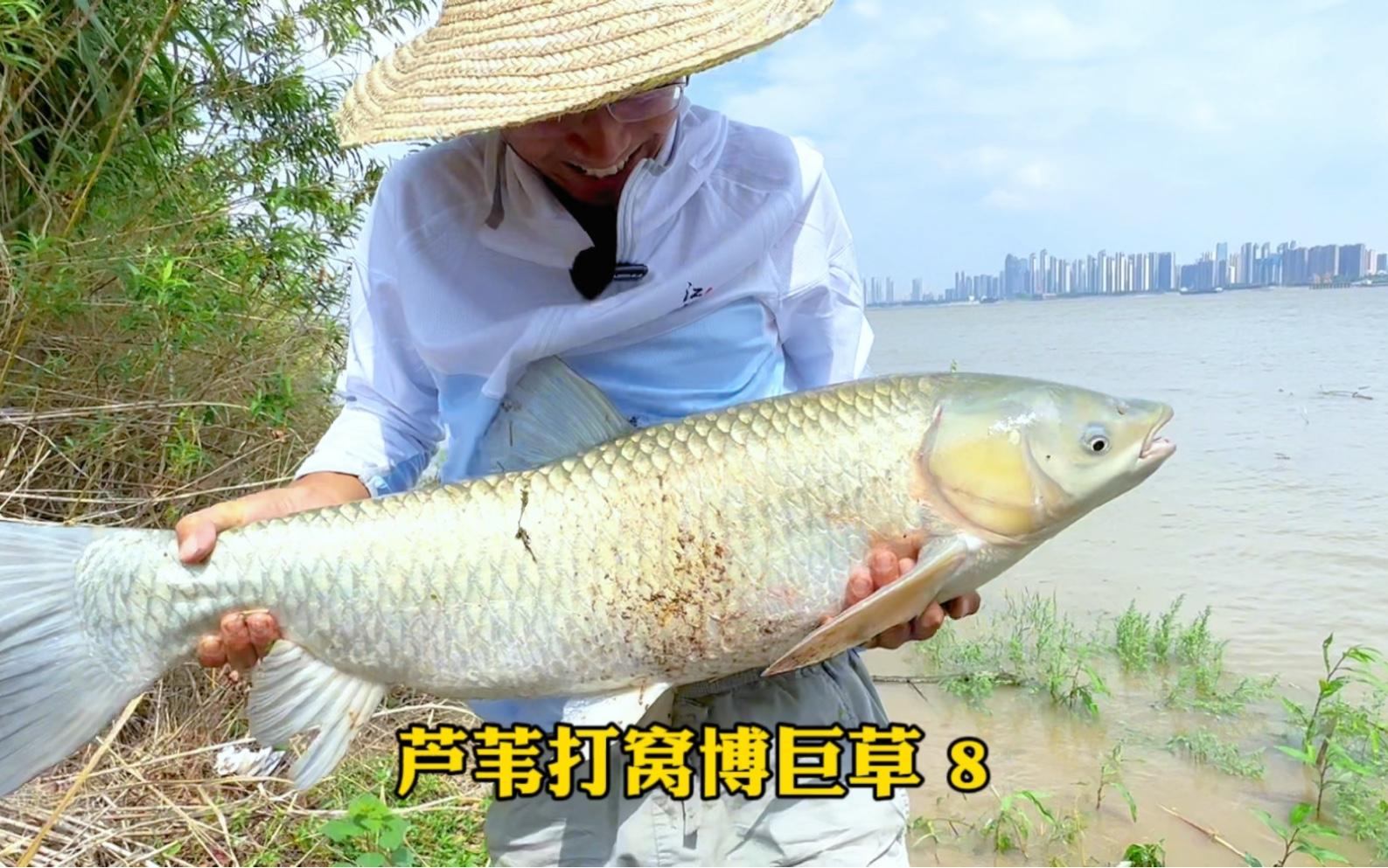 冬钓草窝的技巧(冬季钓草洞技巧)