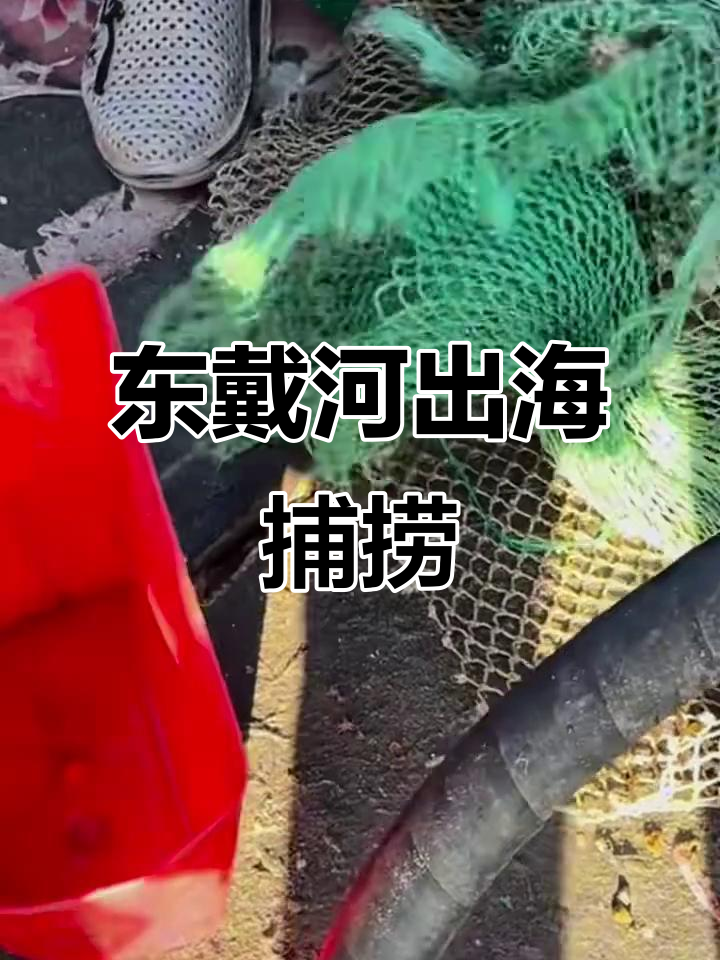 东戴河出海钓鱼(东戴河出海钓鱼服务)