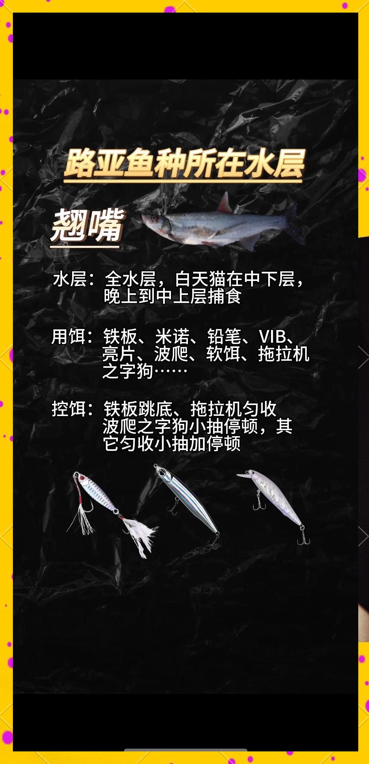 路亚钓鱼技巧视频(路亚钓鱼技巧视频大全)