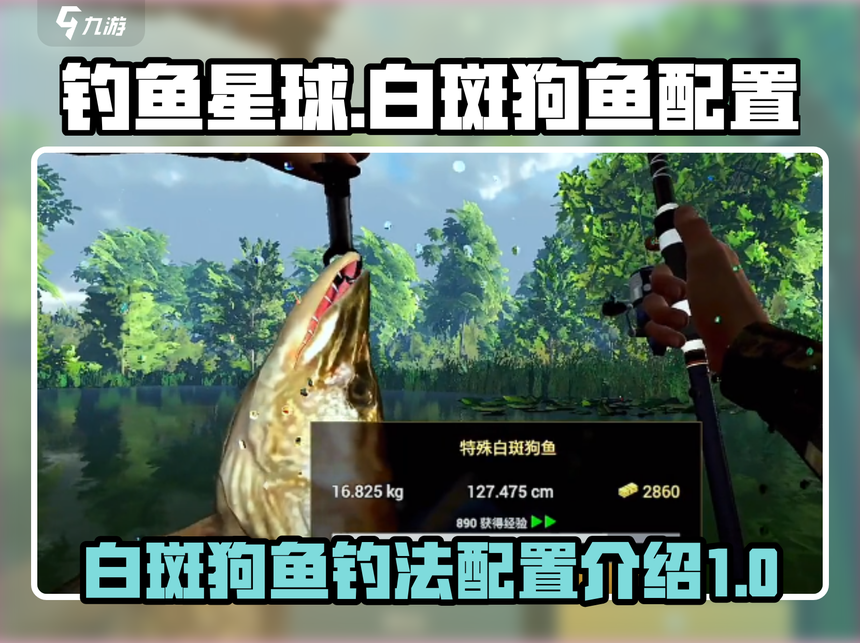 钓狗鱼技巧(钓狗方法如下)