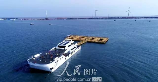 山东龙口海钓的地方(山东龙口有海钓鱼的地方吗)