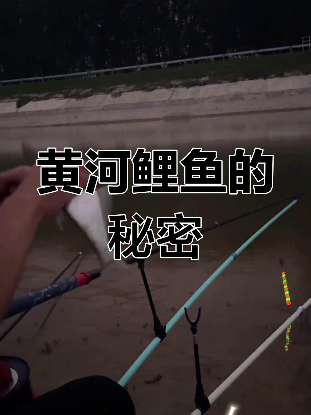 春天黄河野钓技巧(一进的进能组什么词)