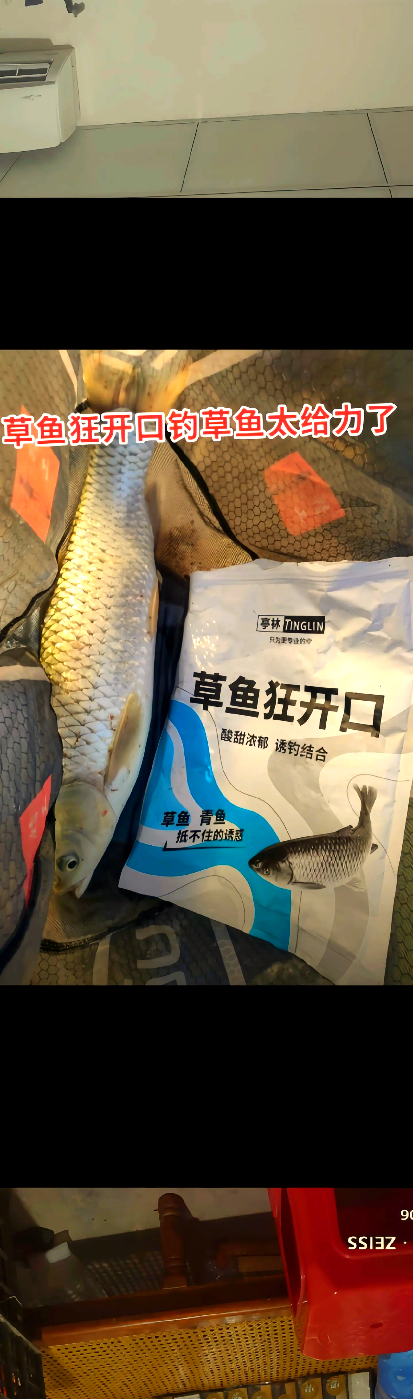 钓草鱼自然饵料配方(垂钓草鱼饵料)