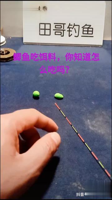 自动上饵料的技巧视频(自动上饵器有用吗)