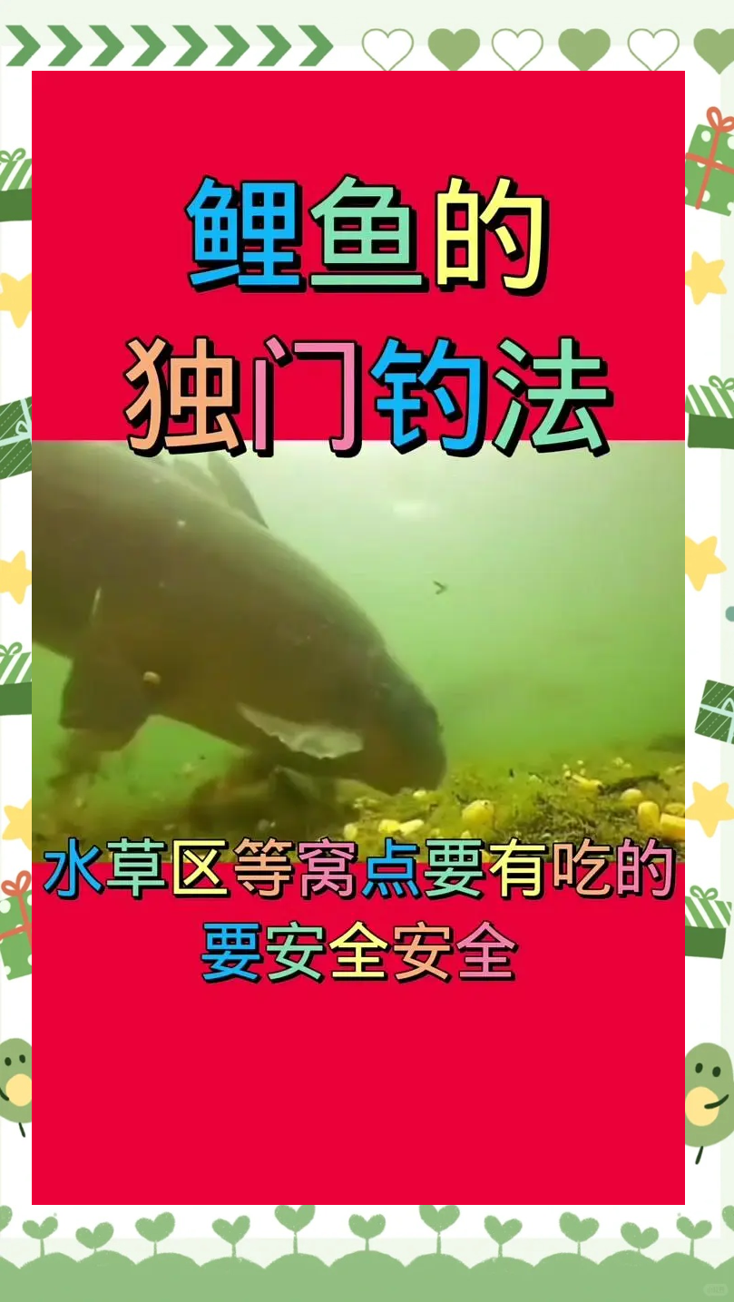 钓大鱼控鱼技巧(钓大鱼怎么调漂好视频)