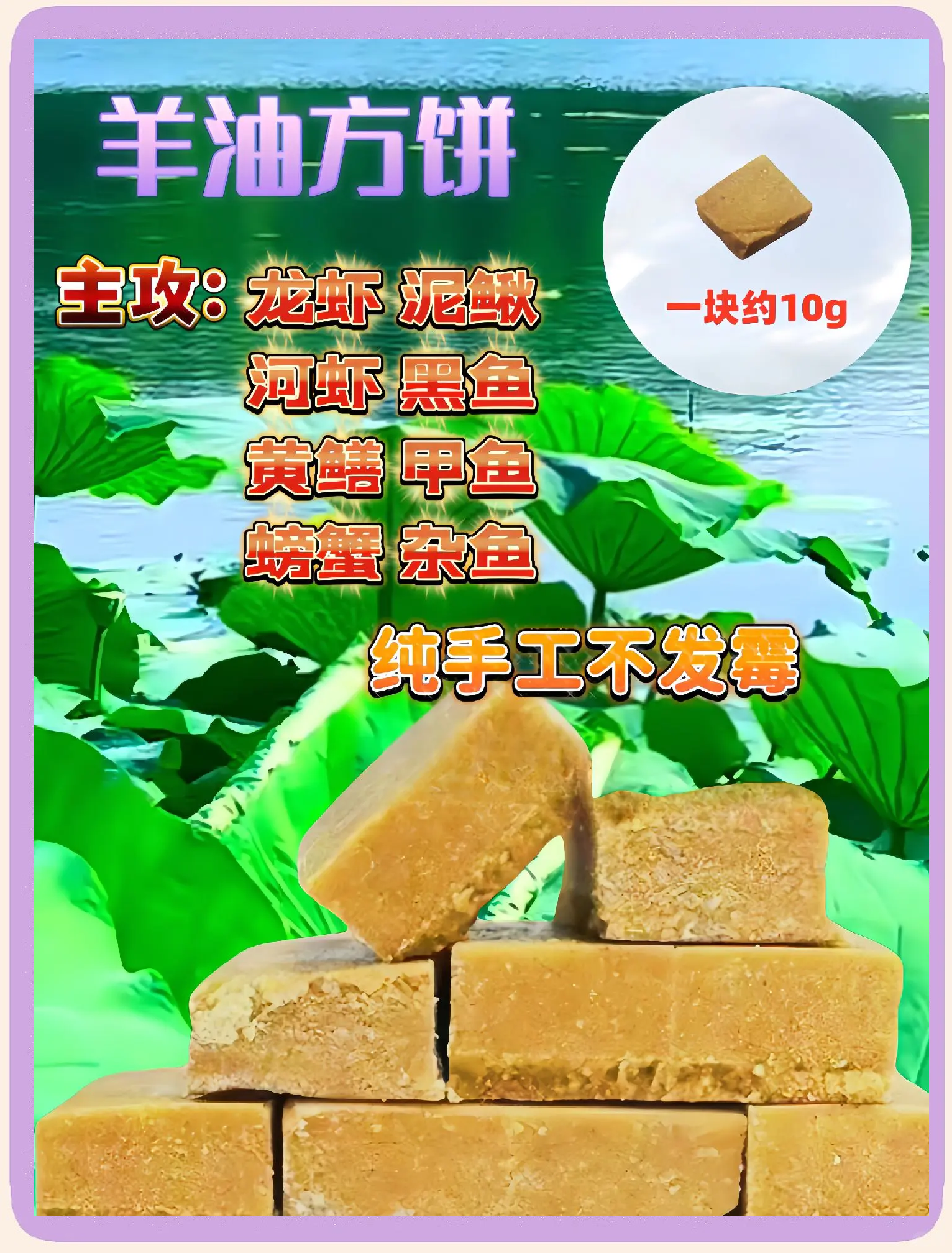 农村鱼饵料油饼(油饼做窝料)