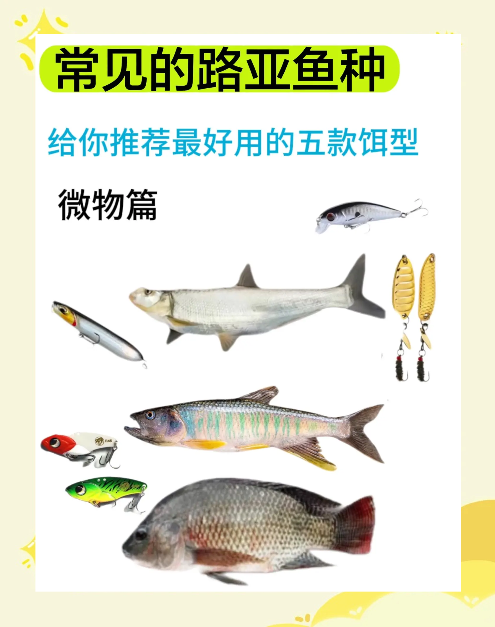 饵料搭配排行(饵料经典搭配)