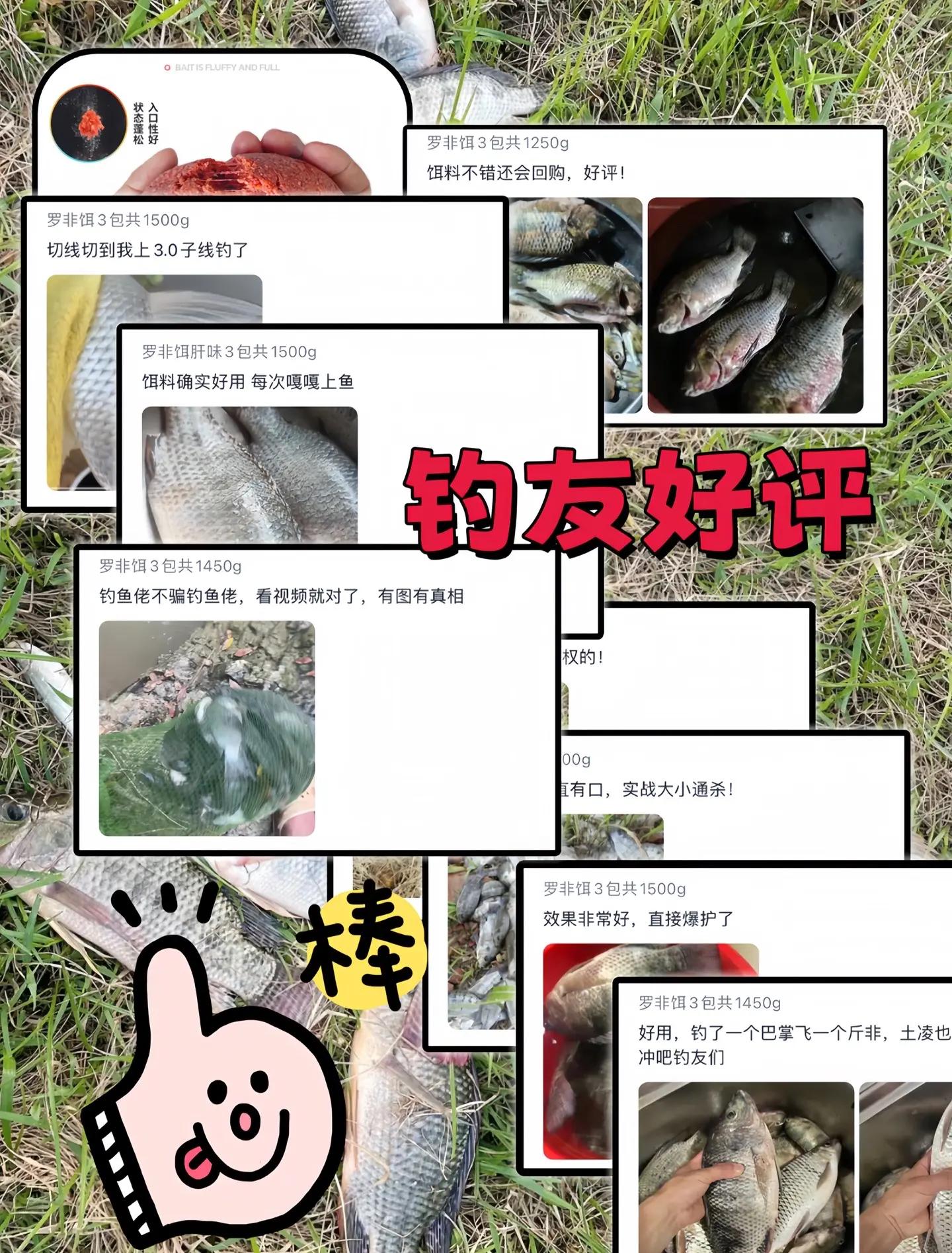 钓罗非饵料配方(野钓罗非饵料)