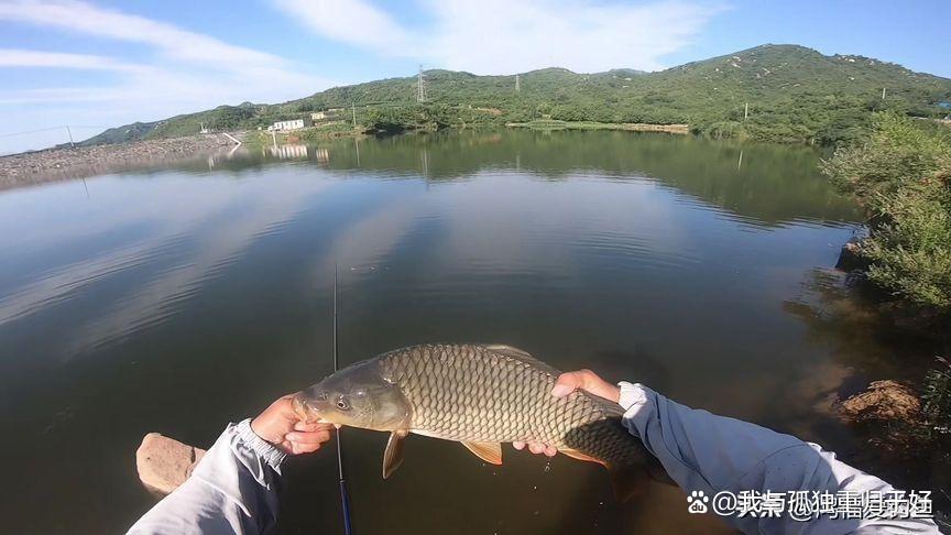 水库浑水钓鱼技巧(水库混水怎么钓鱼)