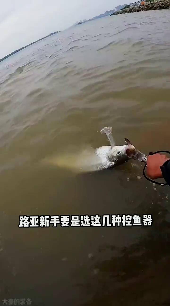 手杆中大鱼控鱼技巧(钓大鱼手握杆什么位置)