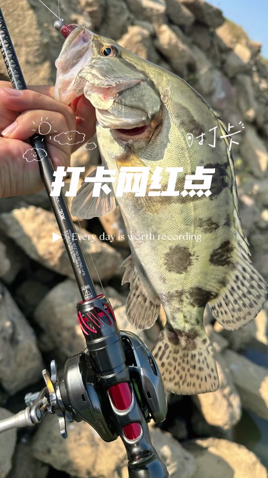 路亚马口刺鱼技巧(为什么禁止路亚钓)