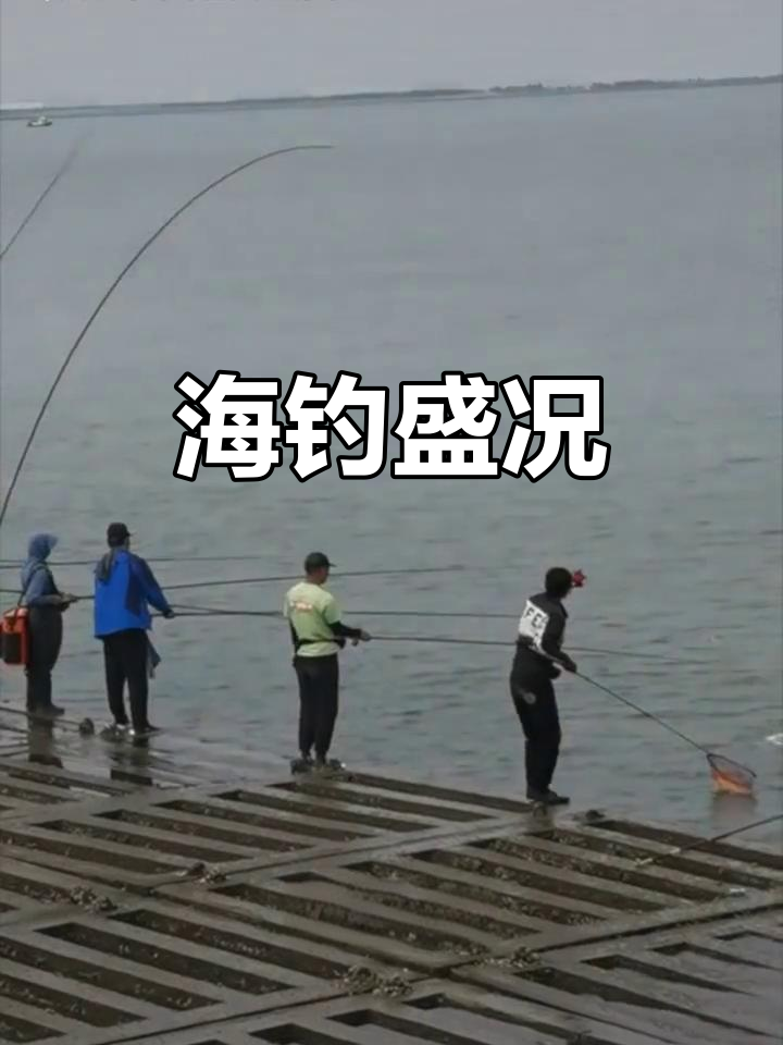 天津什么时间能海钓(天津什么时候可以海钓)