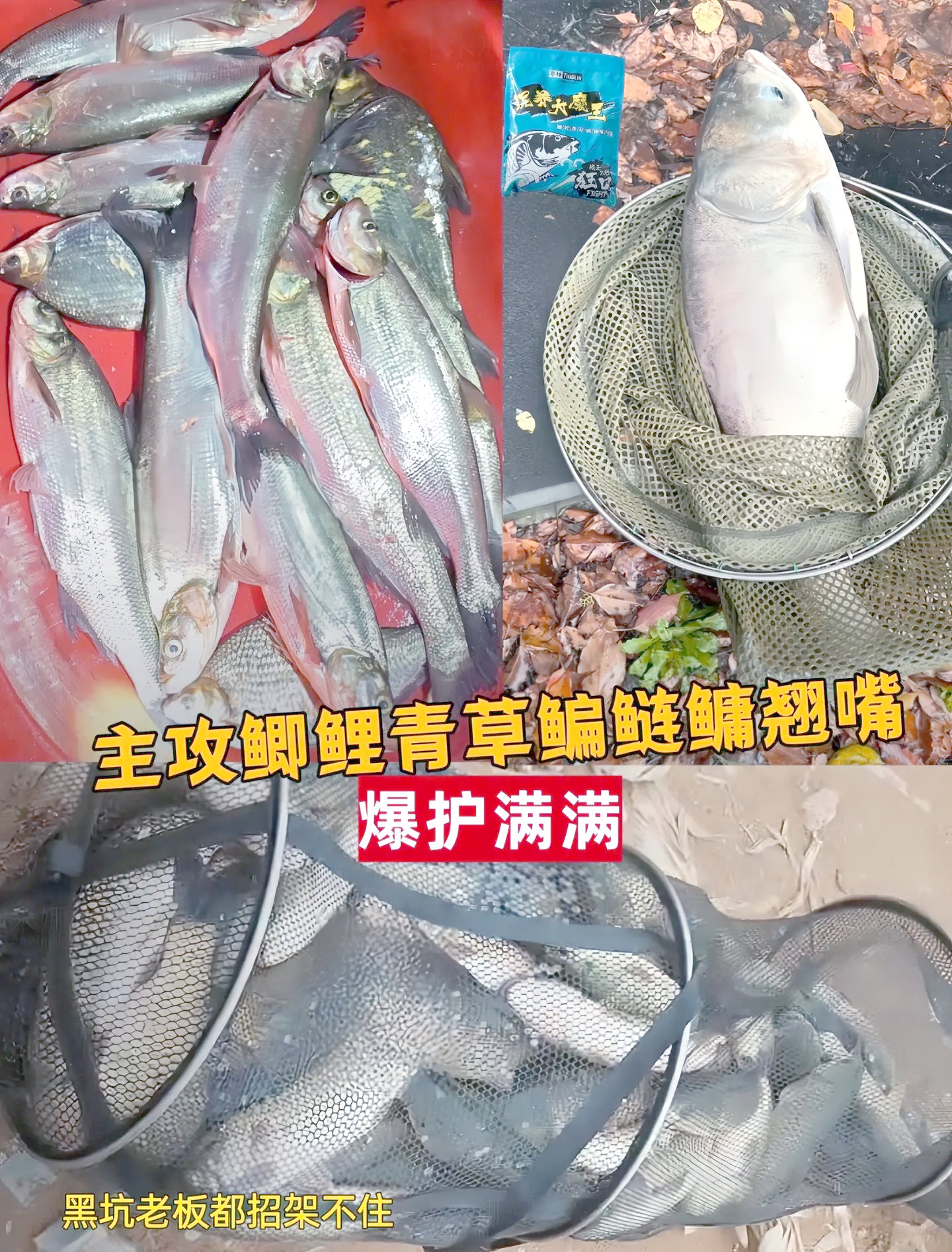收费塘饵料搭配(收费的鱼塘叫什么)
