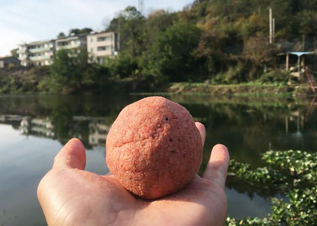 驯兽的饵料(十大驯兽方法)