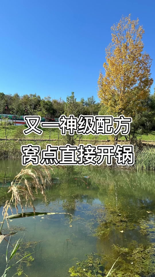 冬季用米饭钓鲫鱼技巧(冬季米饭钓鱼饵料制作方法)