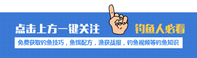 冬天冰野钓鲫鱼技巧(冬天冰钓鱼应该钓哪里)