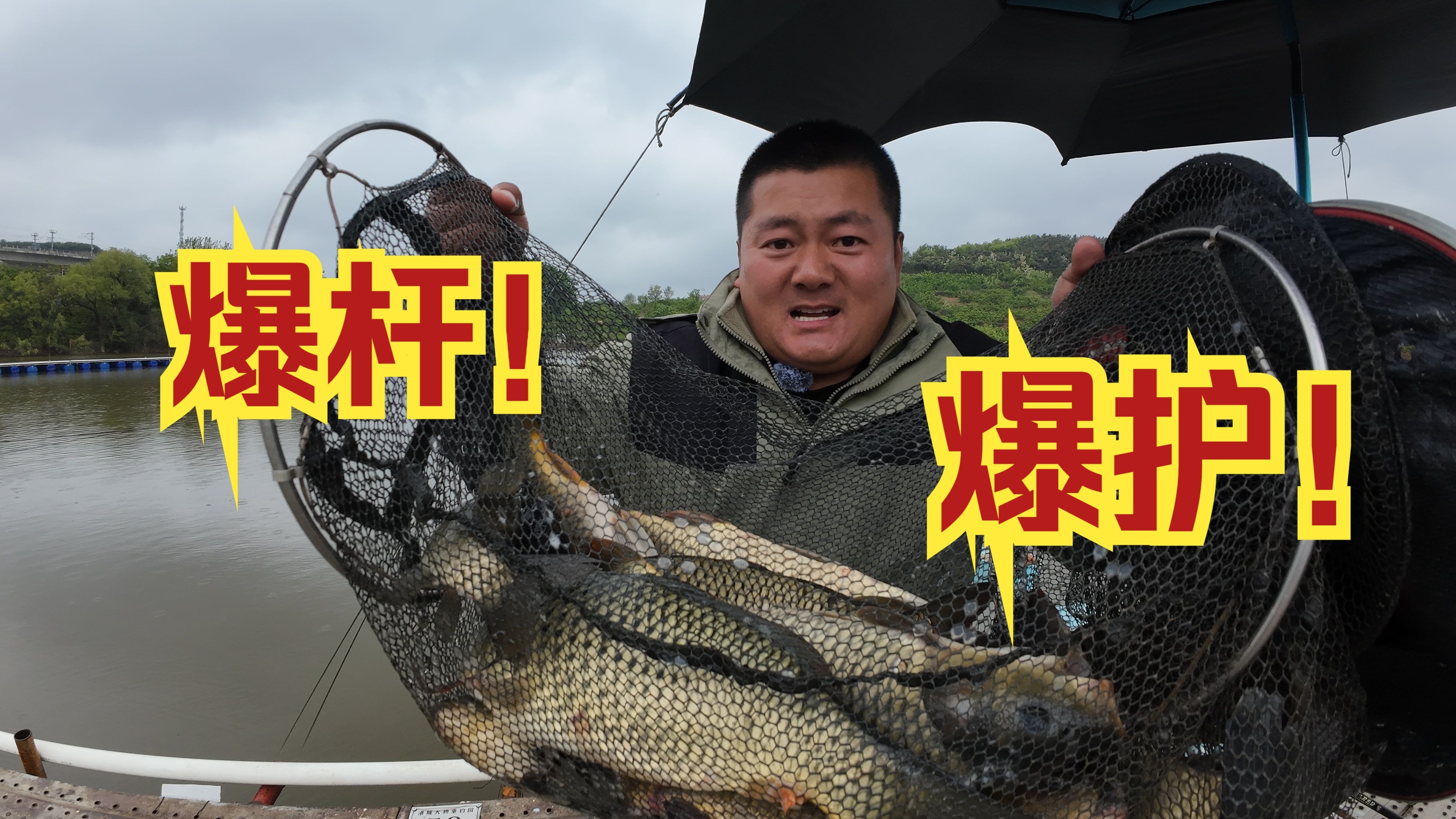 水库海杆掉鲤鱼技巧(水库海竿钓鲤鱼怎么钓)