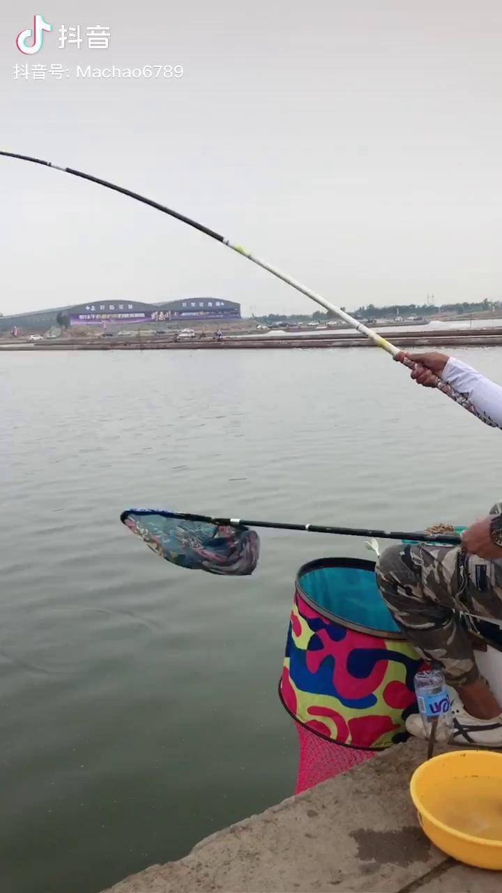 静海钓鲫鱼(静海水库去哪钓鱼)