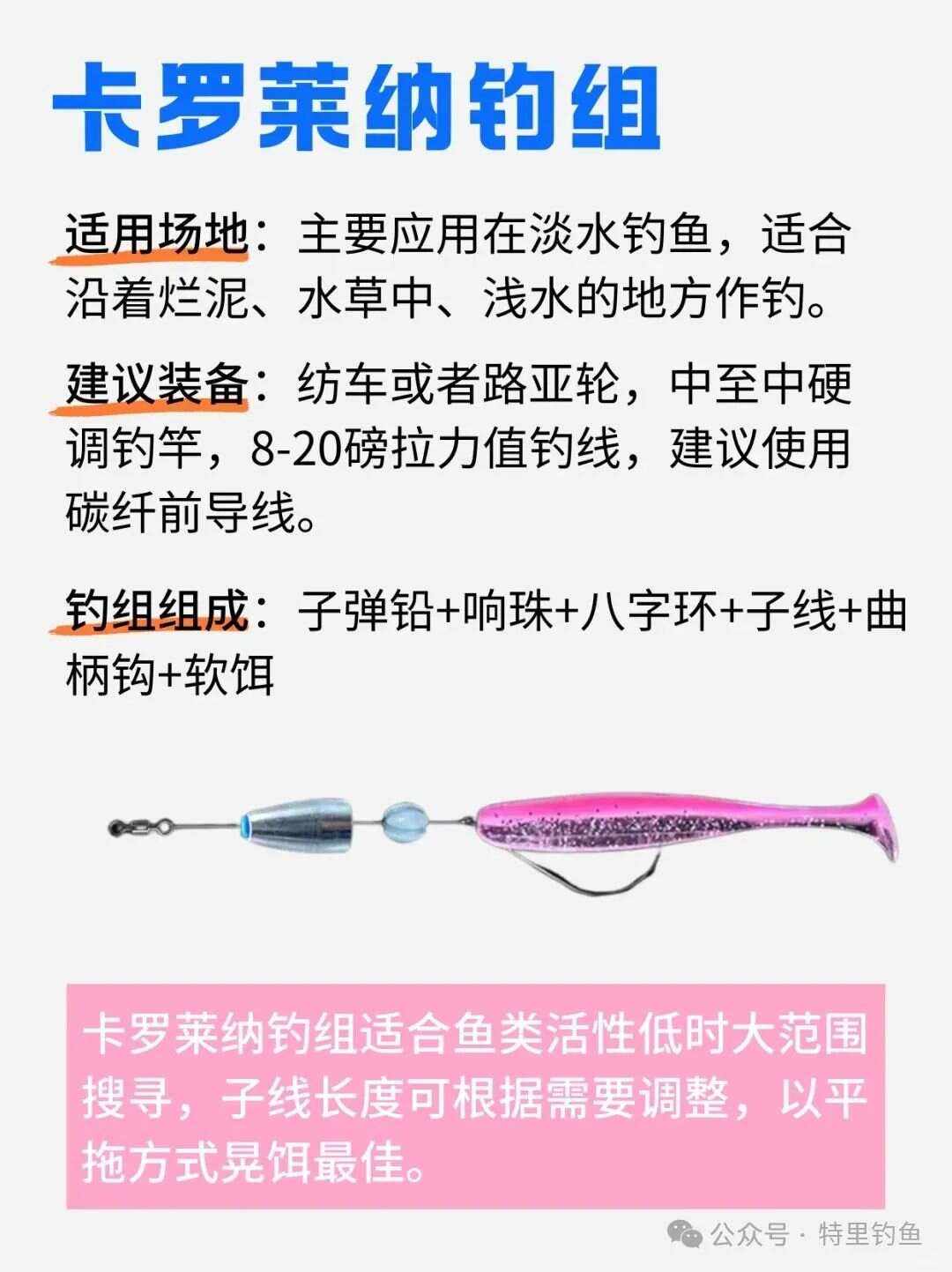 淡水软饵技巧(淡水鱼钓饵)