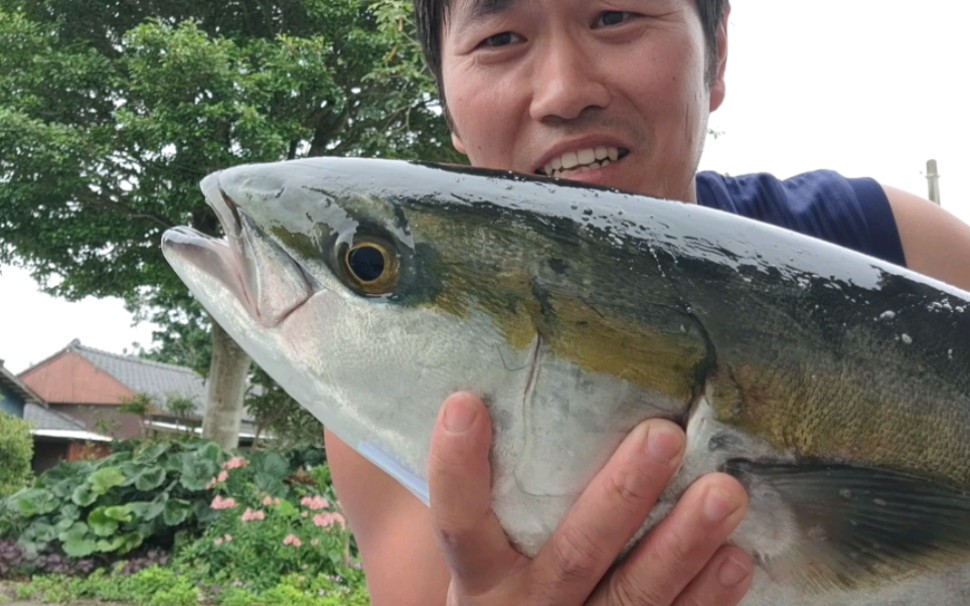 日本海钓鳗鱼(海钓鳗鱼视频)