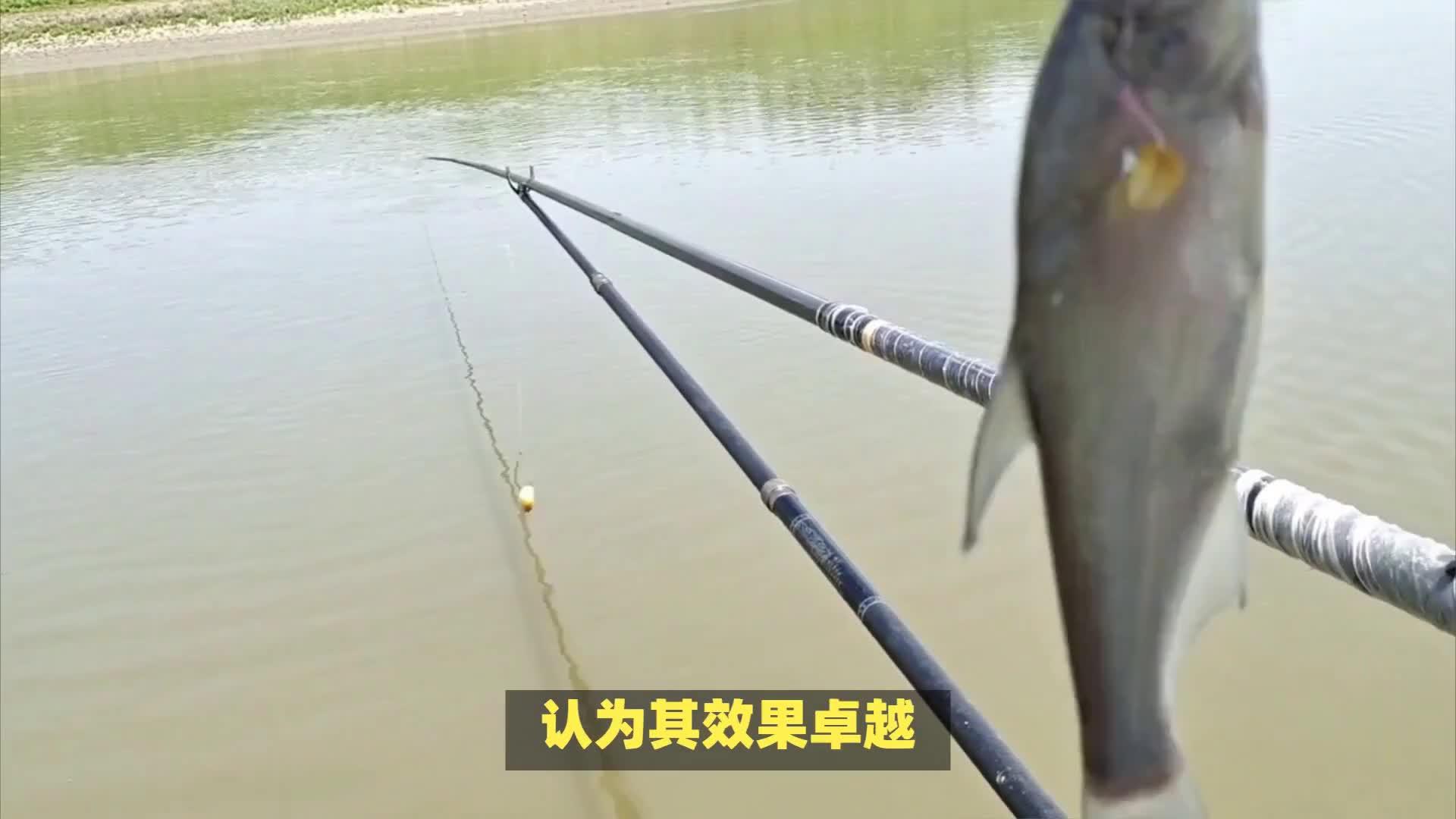 钓白条鱼技巧视频(钓白条教学)