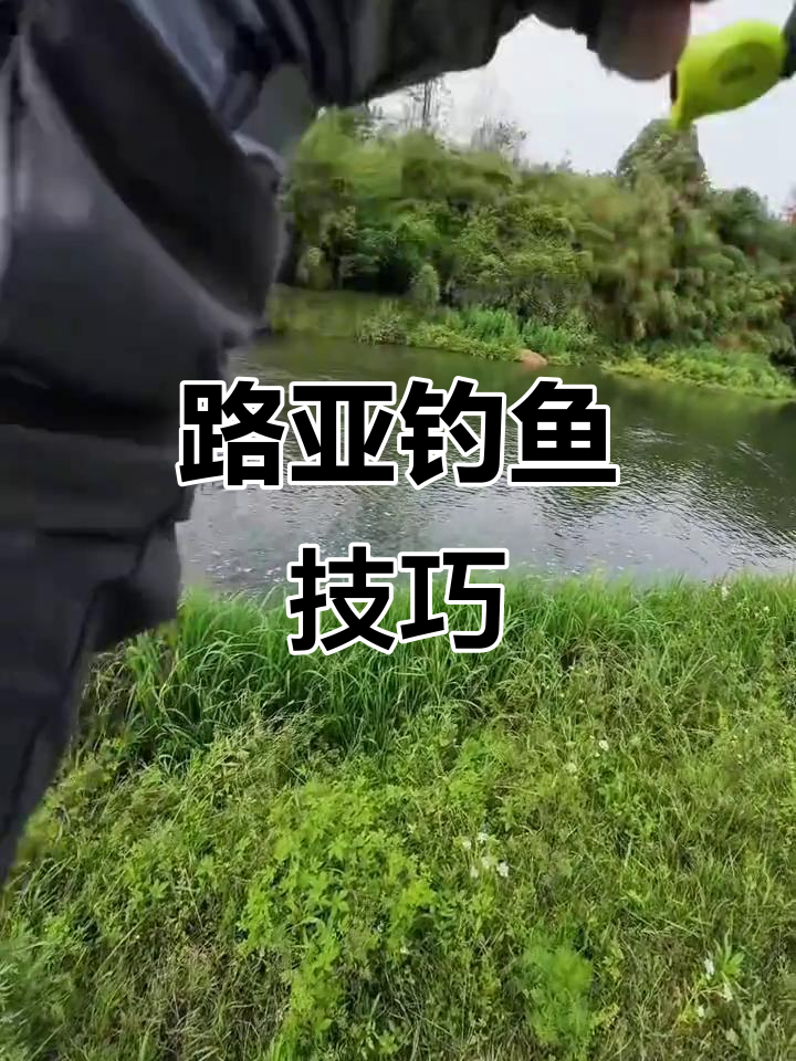 钓青尾的技巧及选漂(钓青尾怎么调漂)