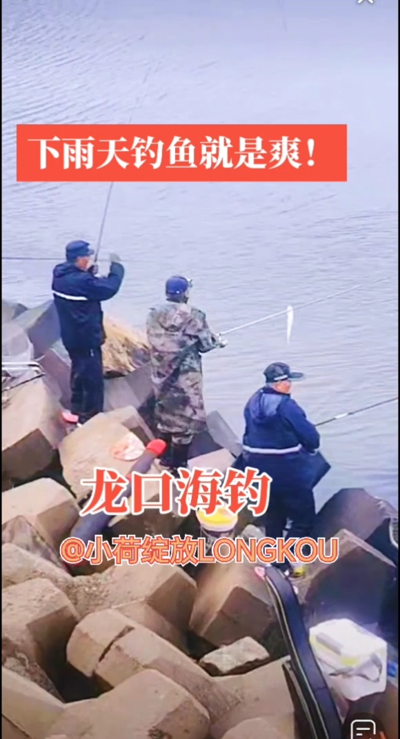 下雨天能否海钓(下雨天适不适合海钓)