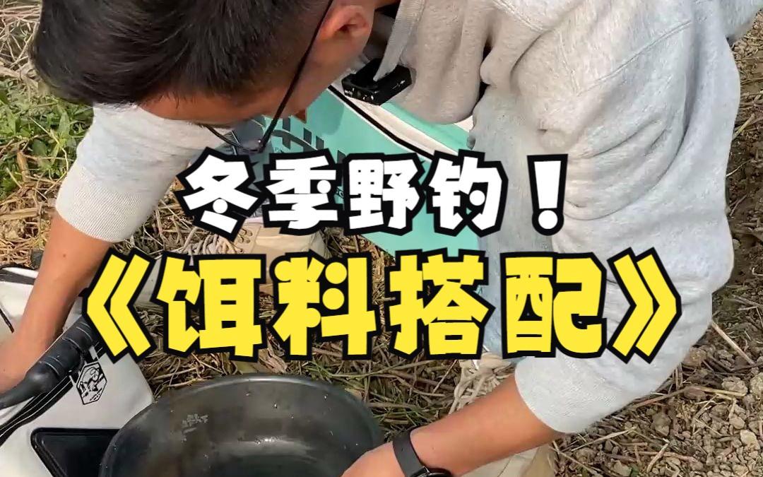 野钓饵料的搭配(野钓饵料搭配推荐)