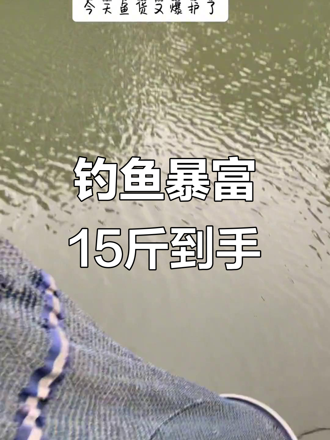 泡沫钓鲤鱼技巧视频(泡沫钓鲤鱼技巧视频大全)