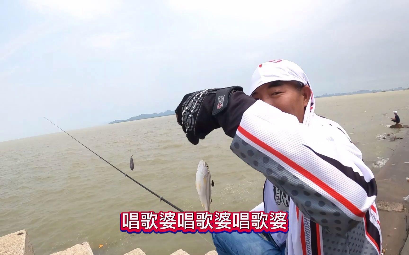 中山港口码头海钓(中山港口钓鱼地点)