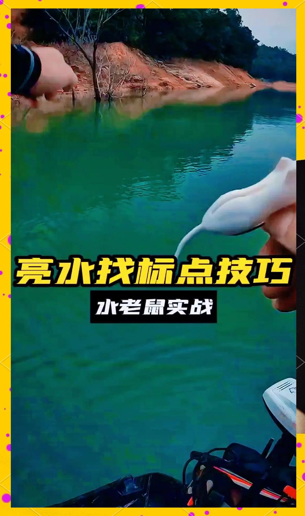 秋季钓黑鱼技巧视频(秋季钓黑鱼怎么钓)