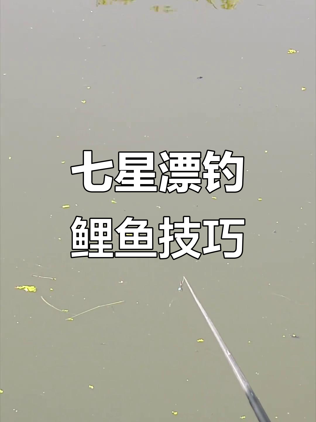 七星浮钓鱼技巧(七星浮漂的调法图解)
