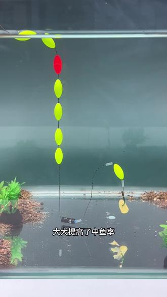 七星浮钓鱼技巧(七星浮漂的调法图解)