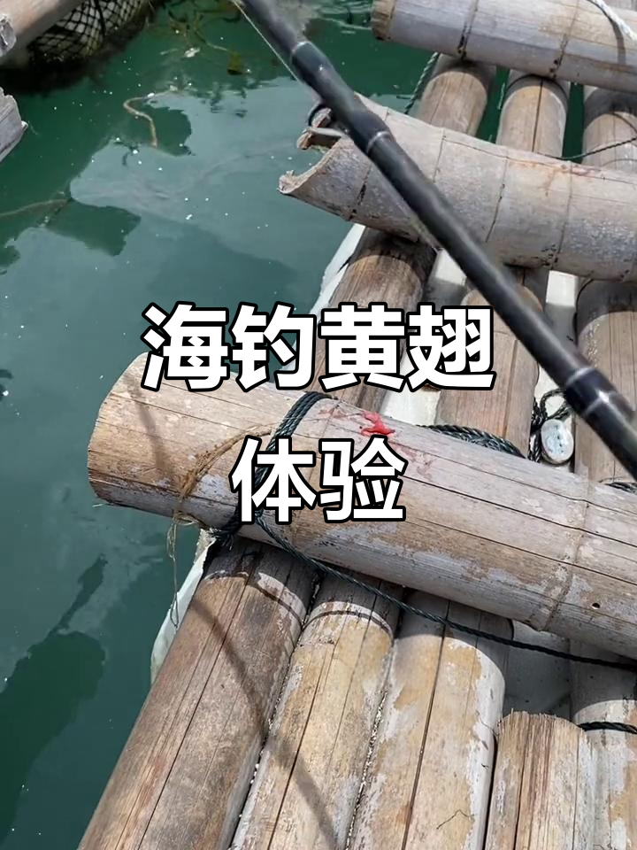 广州近海海钓(广州海竿野钓地点)
