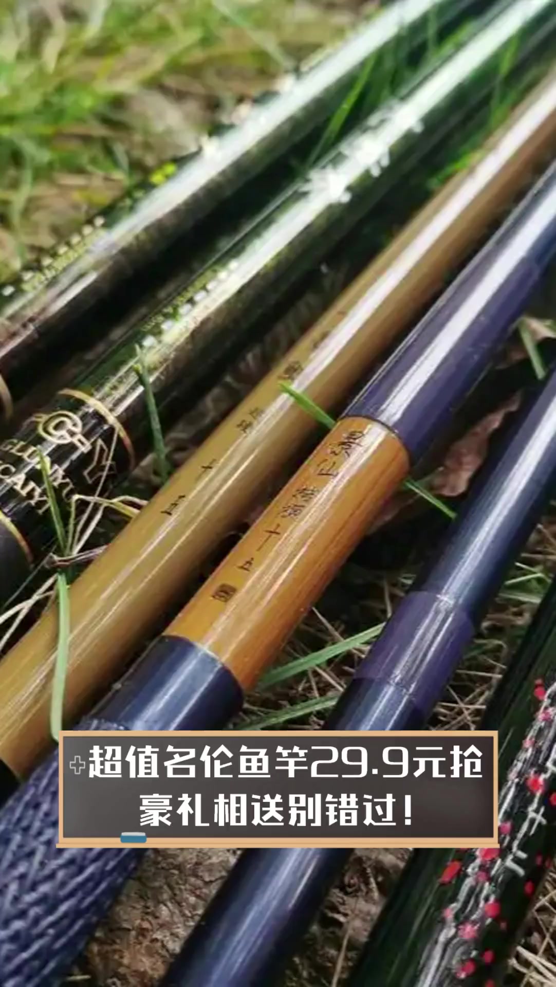名伦渔具论坛(名伦渔具经销商查询)