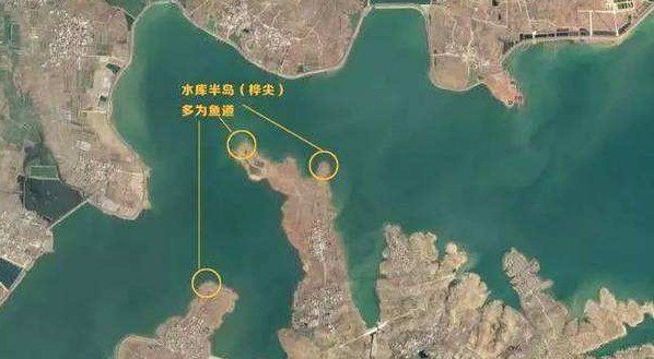 海南水库钓鱼技巧(海南水库钓鱼用什么饵料)