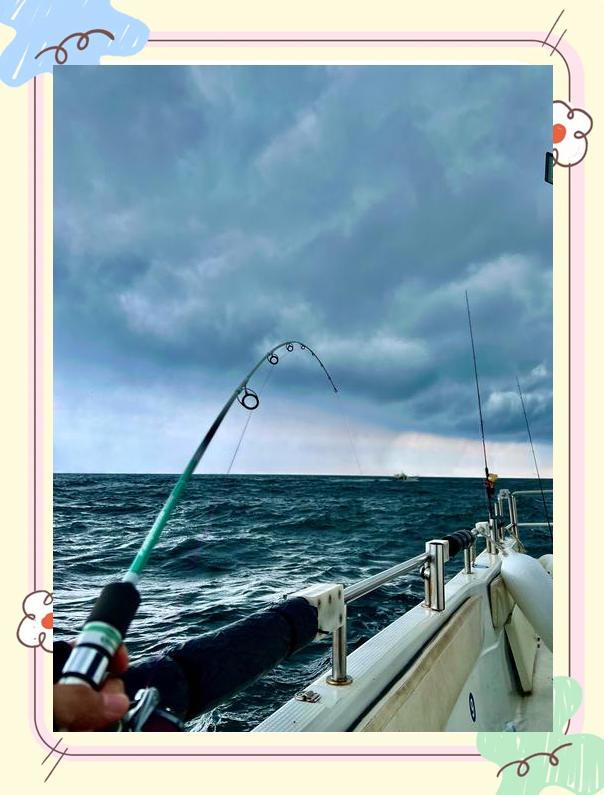 拉流海钓技巧(海钓拉流图解大全)