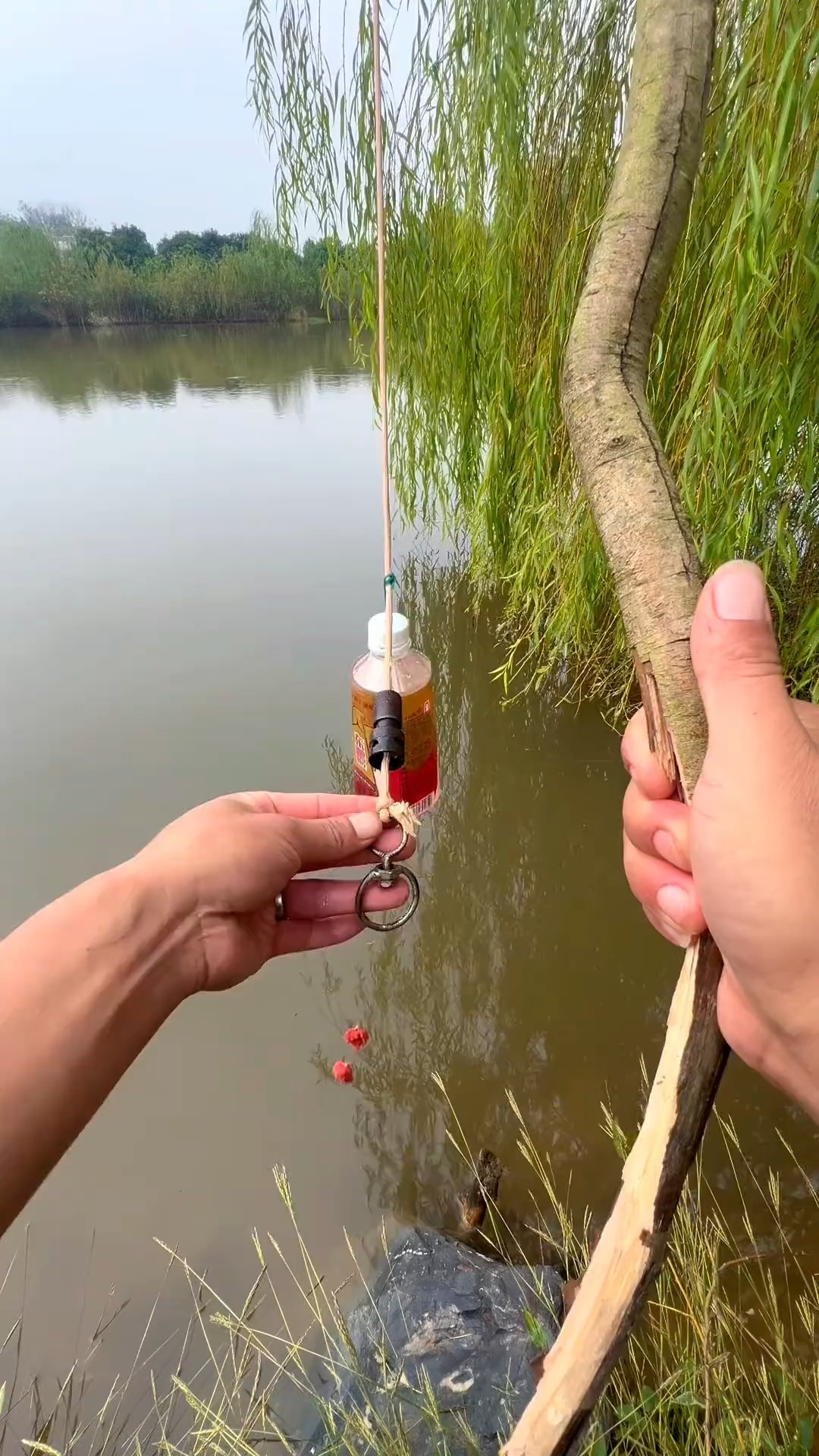 如何用渔具钓鱼视频(如何用渔具钓鱼视频教程)