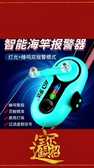 海竿报警器钓鱼技巧(海竿钓鱼报警器使用视频)
